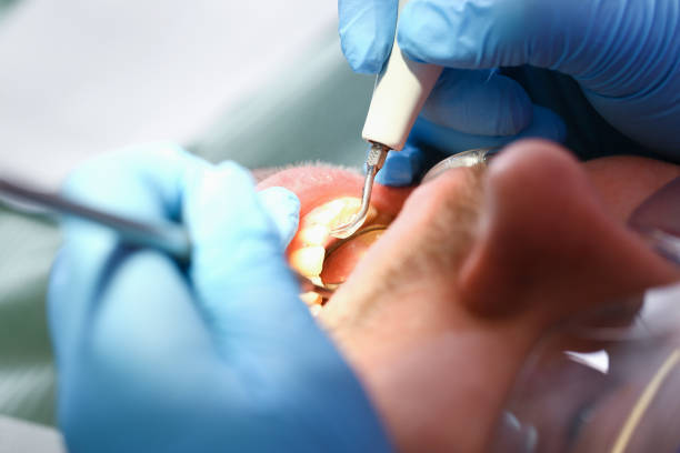 Best Emergency Orthodontic Repairs in Holliday, TX